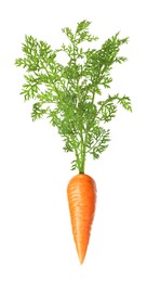 Image of Fresh ripe carrot with green leaves isolated on white