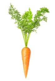 Image of Fresh ripe carrot with green leaves isolated on white