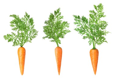 Image of Fresh ripe carrots with green leaves isolated on white, set