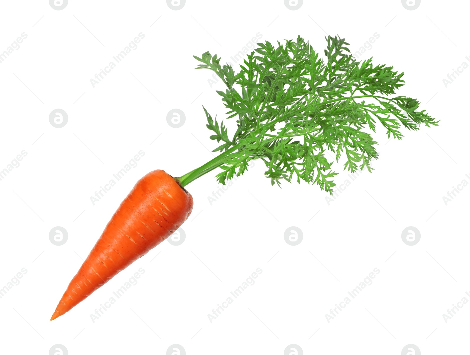 Image of Fresh ripe carrot with green leaves isolated on white