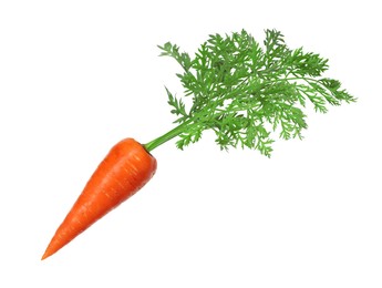 Image of Fresh ripe carrot with green leaves isolated on white