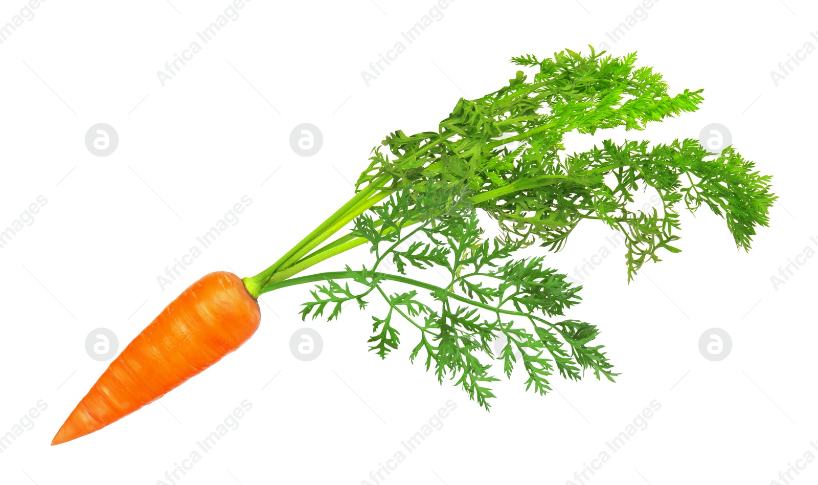 Image of Fresh ripe carrot with green leaves isolated on white