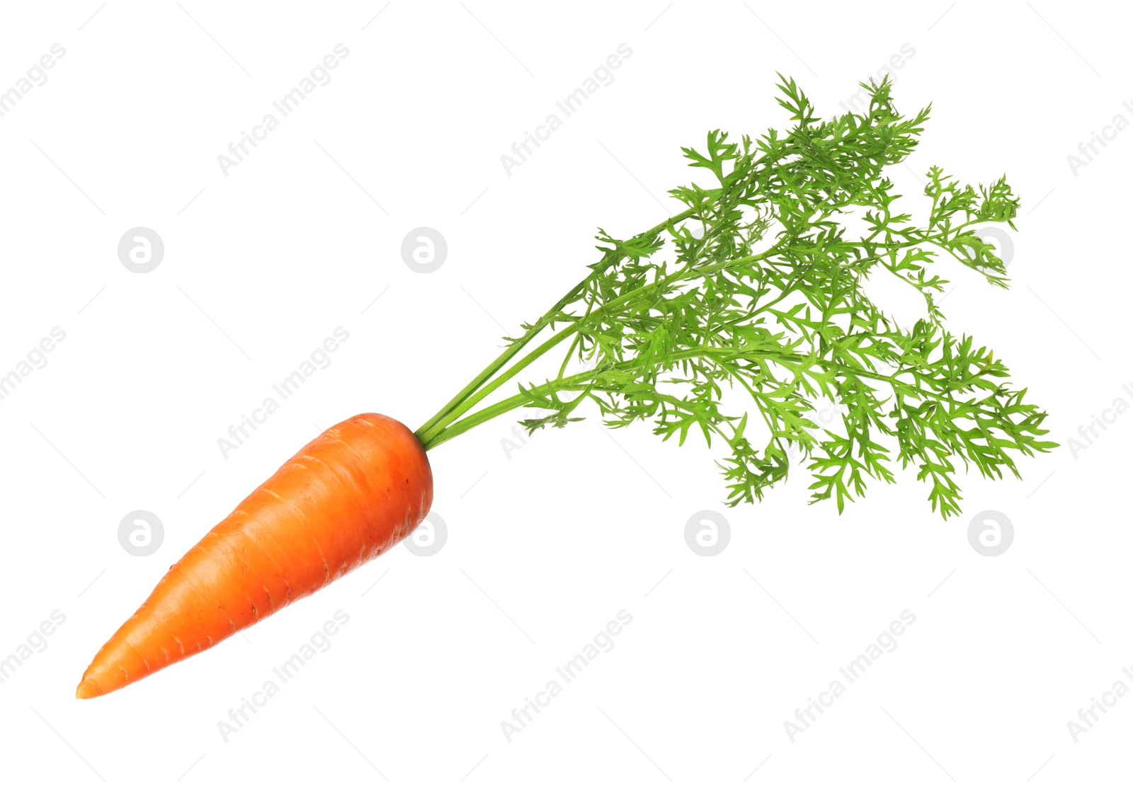 Image of Fresh ripe carrot with green leaves isolated on white