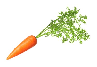 Image of Fresh ripe carrot with green leaves isolated on white