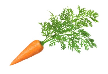 Image of Fresh ripe carrot with green leaves isolated on white