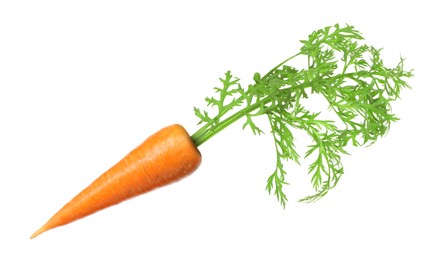 Image of Fresh ripe carrot with green leaves isolated on white