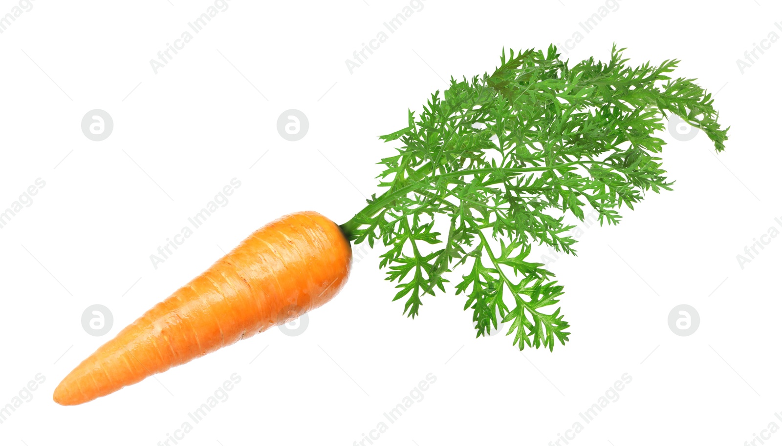 Image of Fresh ripe carrot with green leaves isolated on white