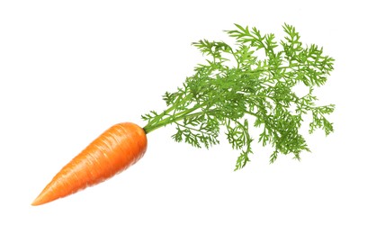 Image of Fresh ripe carrot with green leaves isolated on white