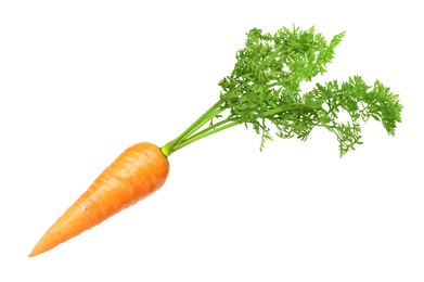 Image of Fresh ripe carrot with green leaves isolated on white