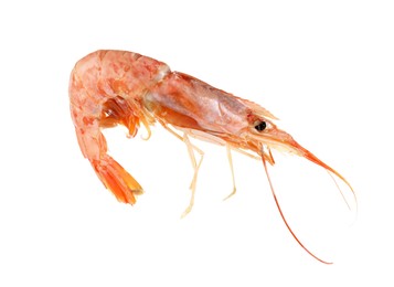 One raw shrimp isolated on white. Sea food