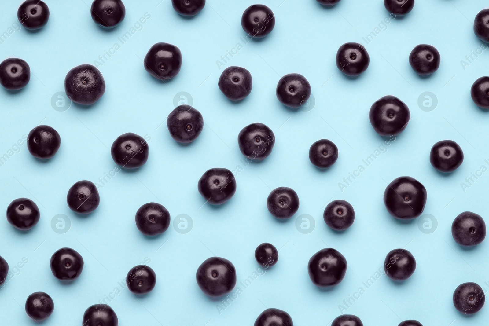 Photo of Ripe acai berries on light blue background, flat lay