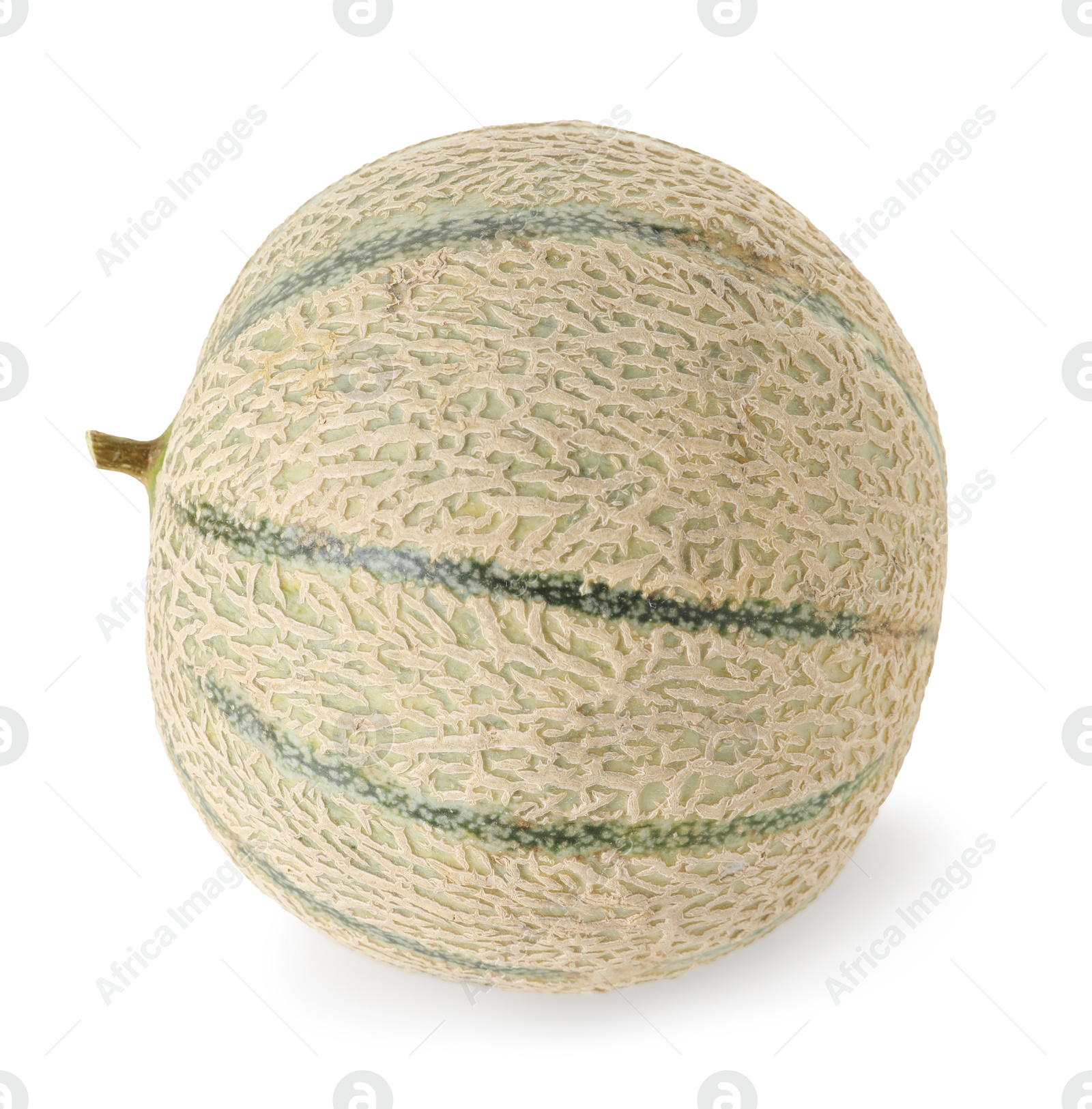 Photo of One whole Cantaloupe melon isolated on white