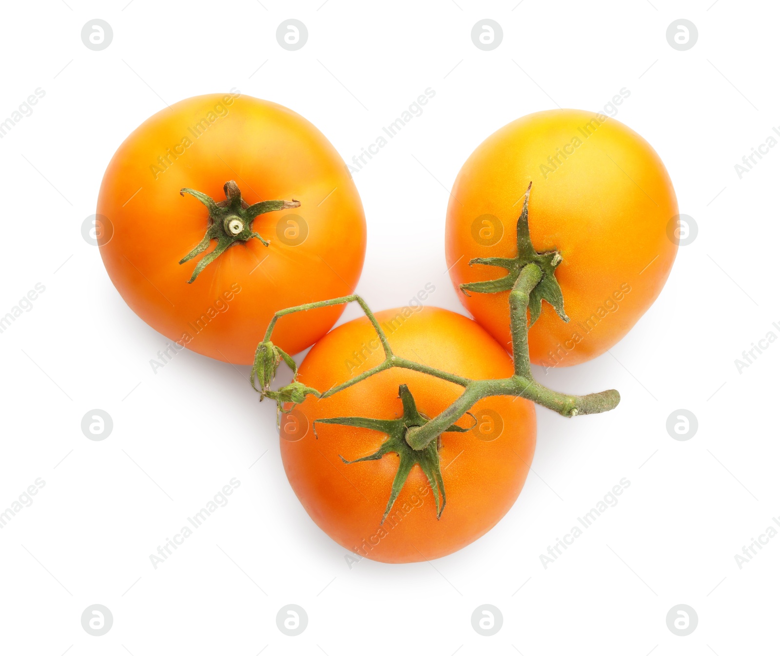 Photo of Branch with ripe yellow tomatoes isolated on white, top view