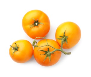 Photo of Branch with ripe yellow tomatoes isolated on white, top view