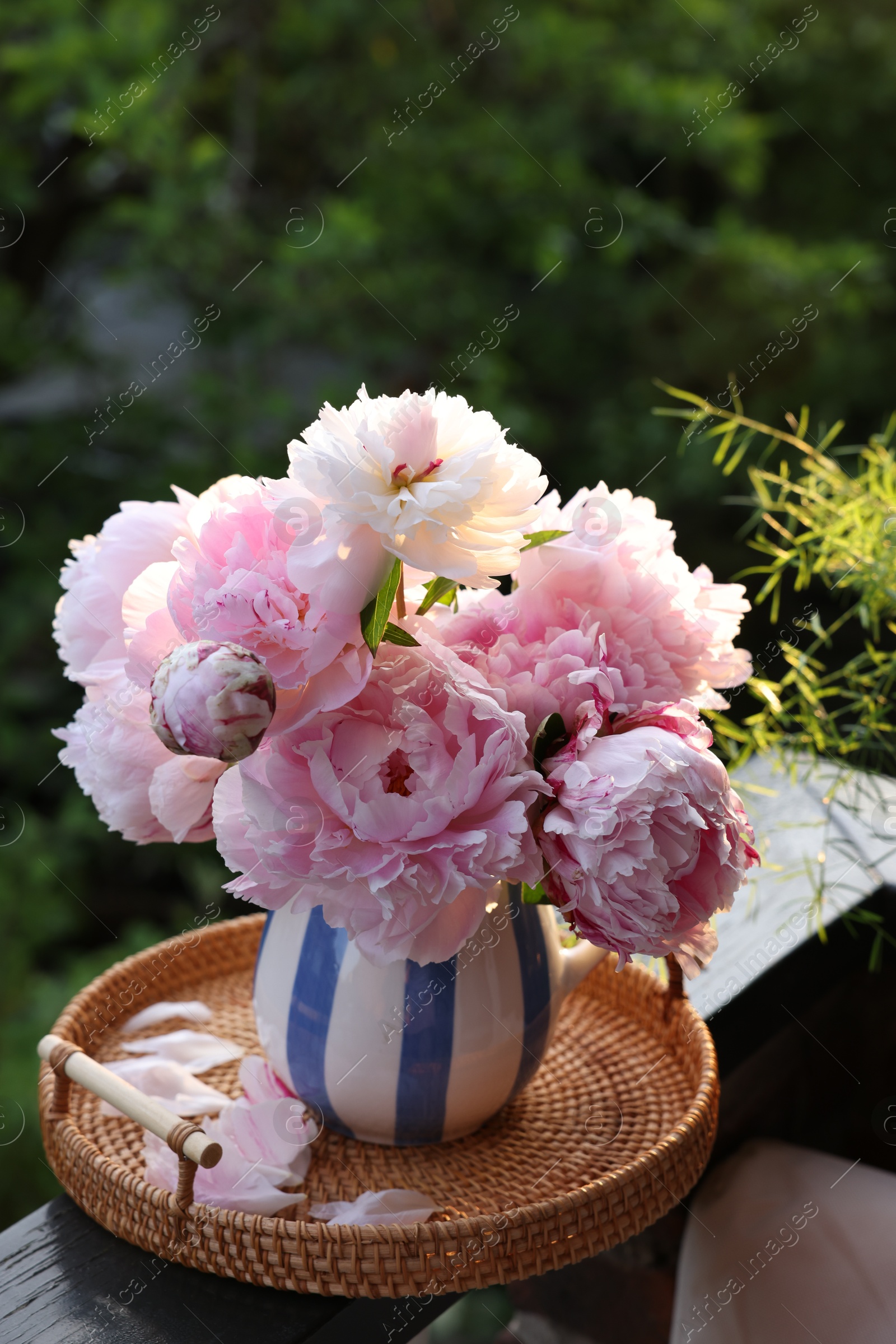 Photo of Beautiful pink peony flowers in vase on balcony railing outdoors