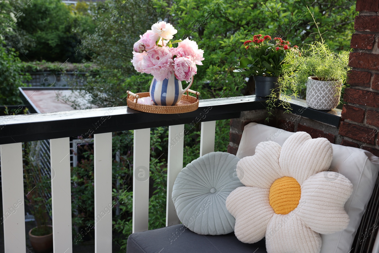 Photo of Different plants on railings and chair at cozy balcony outdoors