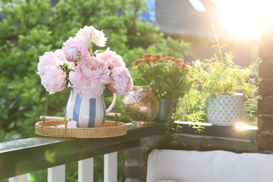 Balcony garden. Different plants on railings outdoors on sunny day