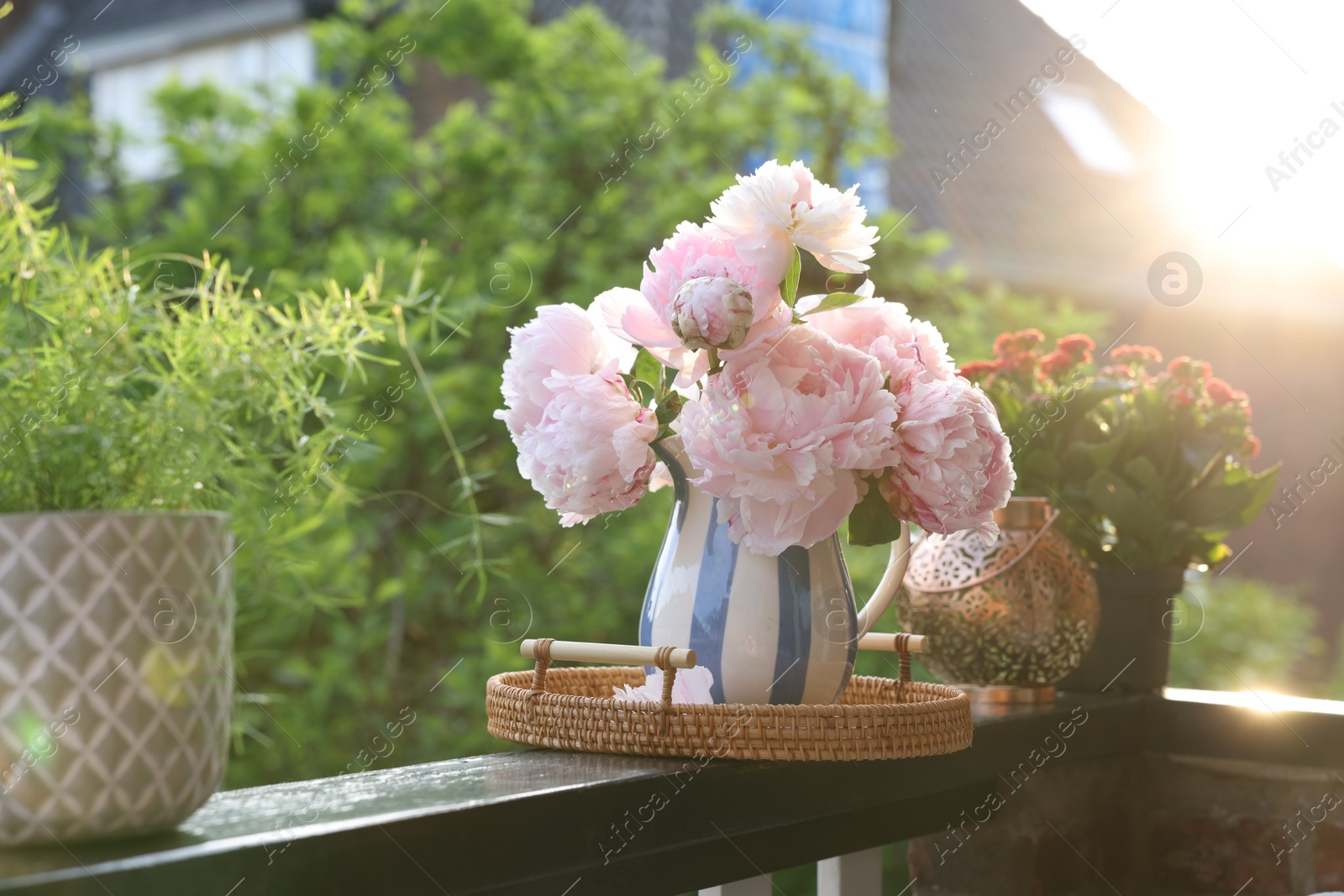 Photo of Balcony garden. Different plants growing on railings outdoors