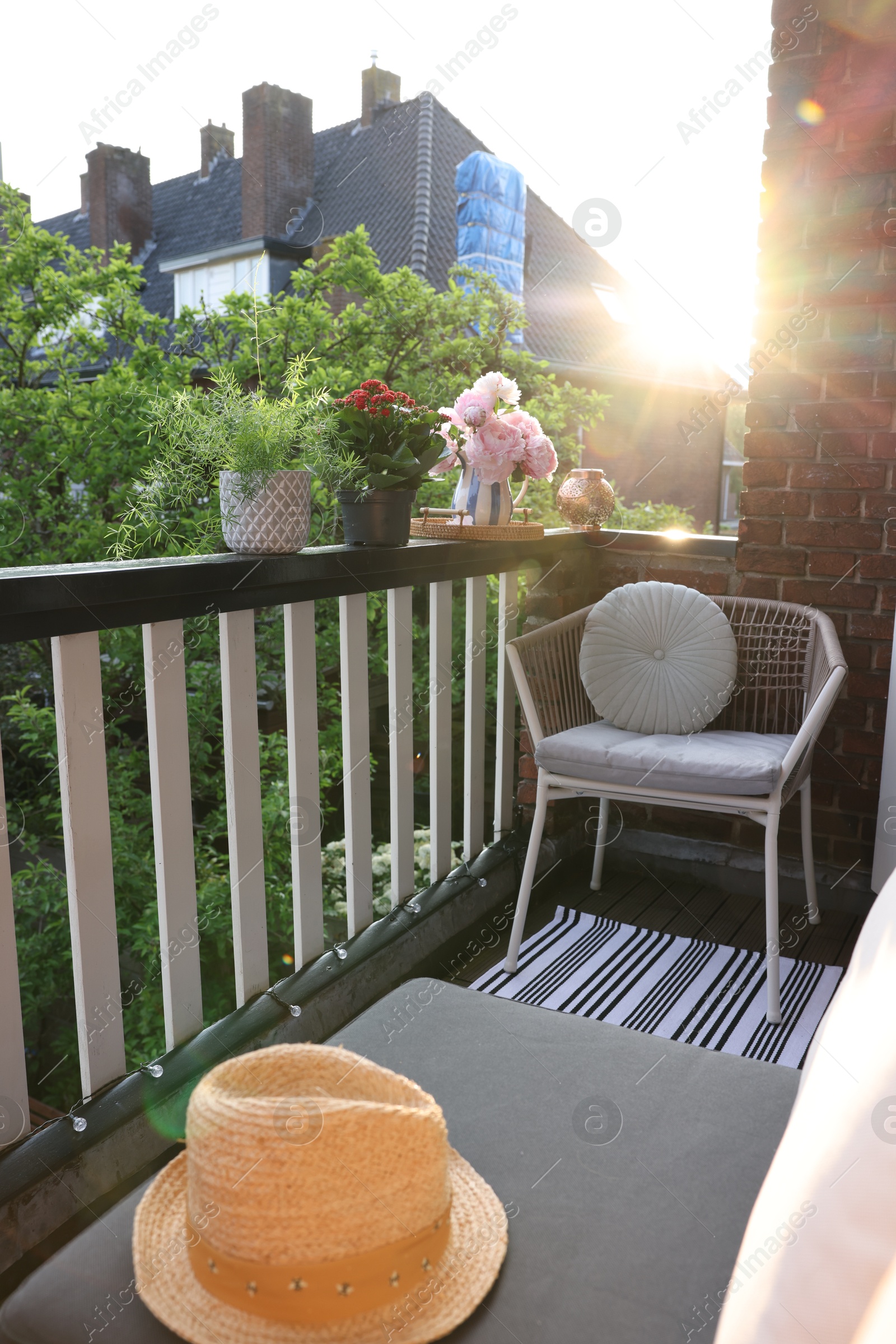 Photo of Beautiful hat, different plants and chair at cozy balcony