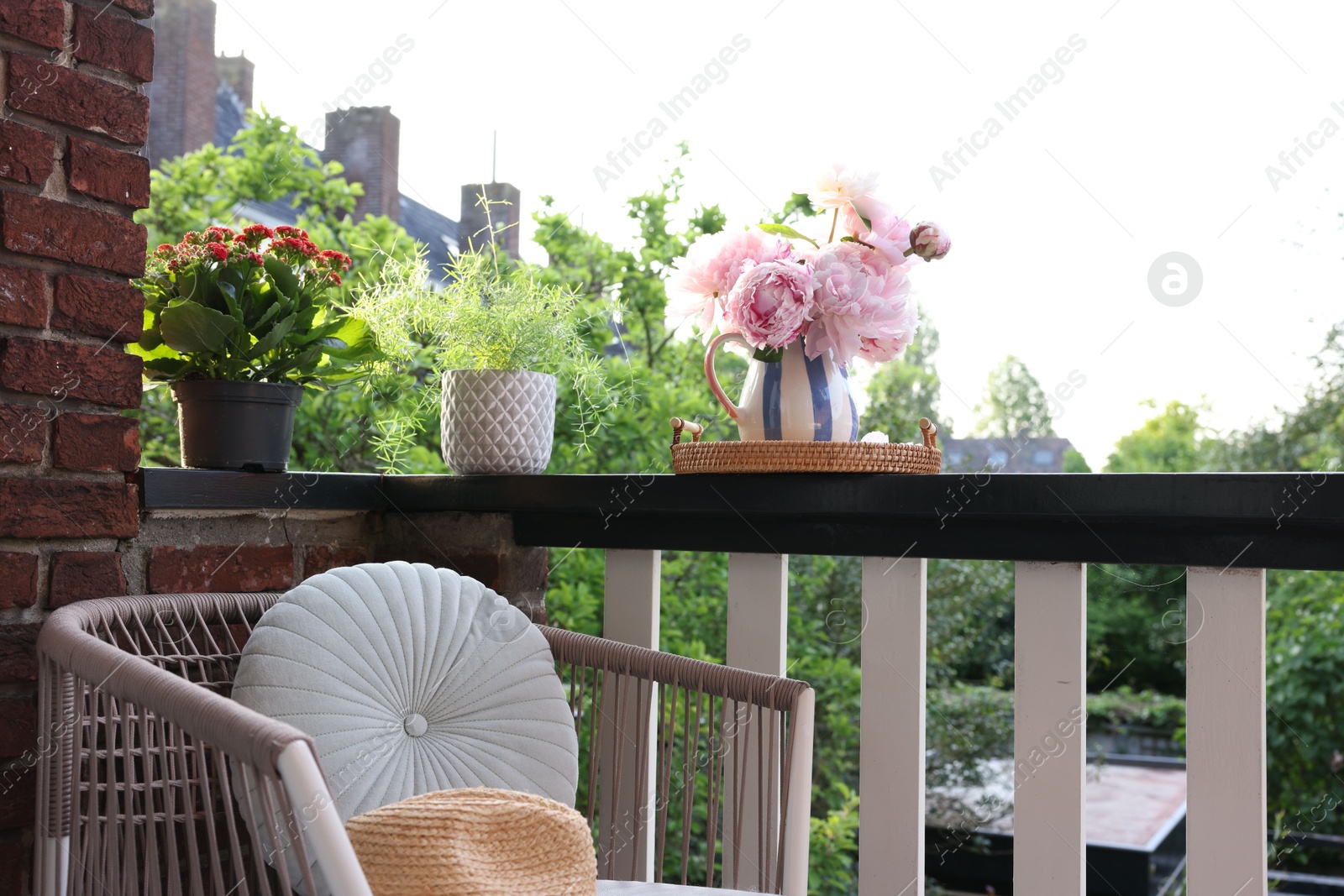 Photo of Different plants on railings and chair at cozy balcony outdoors