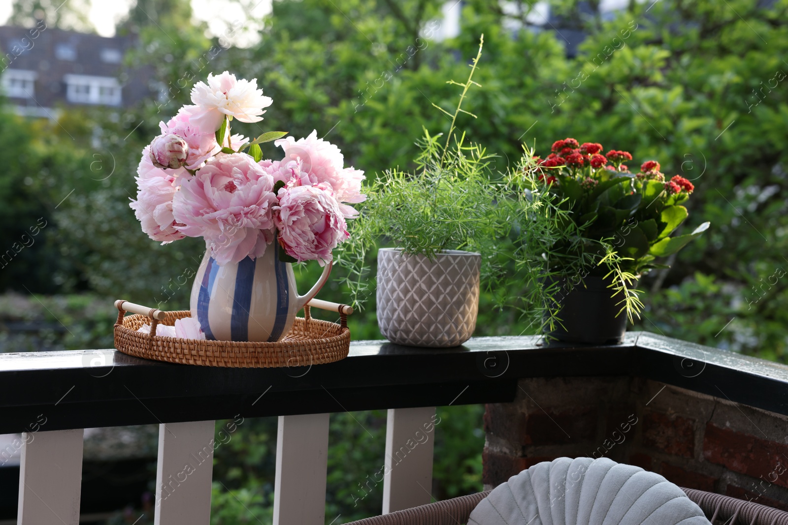 Photo of Balcony garden. Different plants growing on railings outdoors