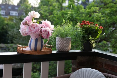 Balcony garden. Different plants growing on railings outdoors