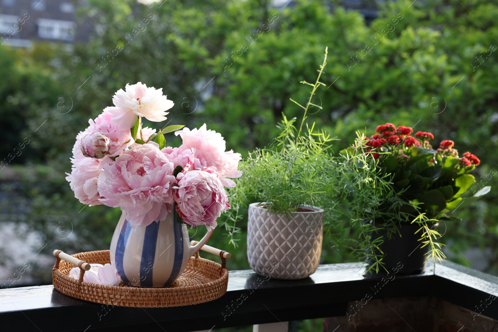 Photo of Balcony garden. Different plants growing on railings outdoors