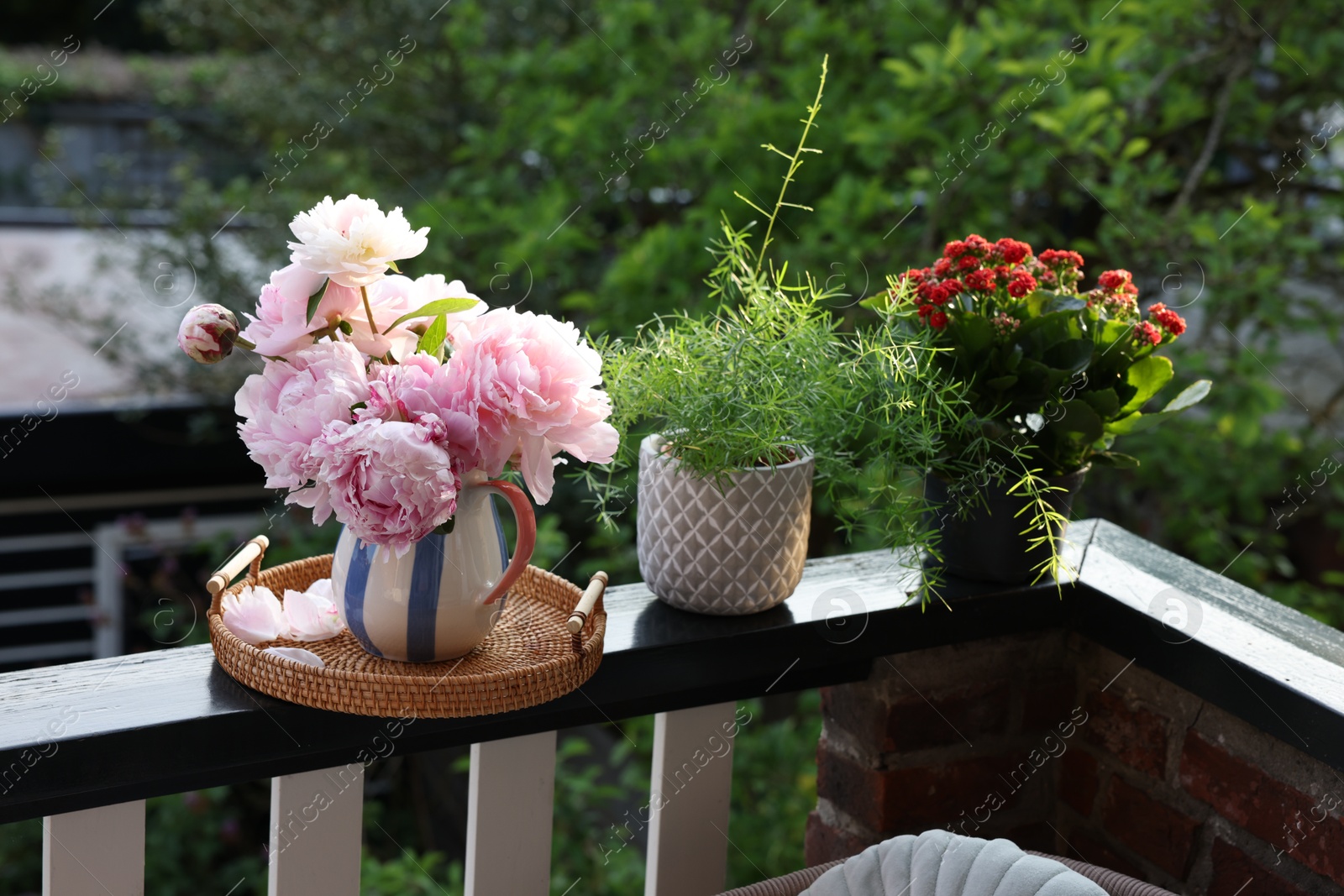 Photo of Balcony garden. Different plants growing on railings outdoors