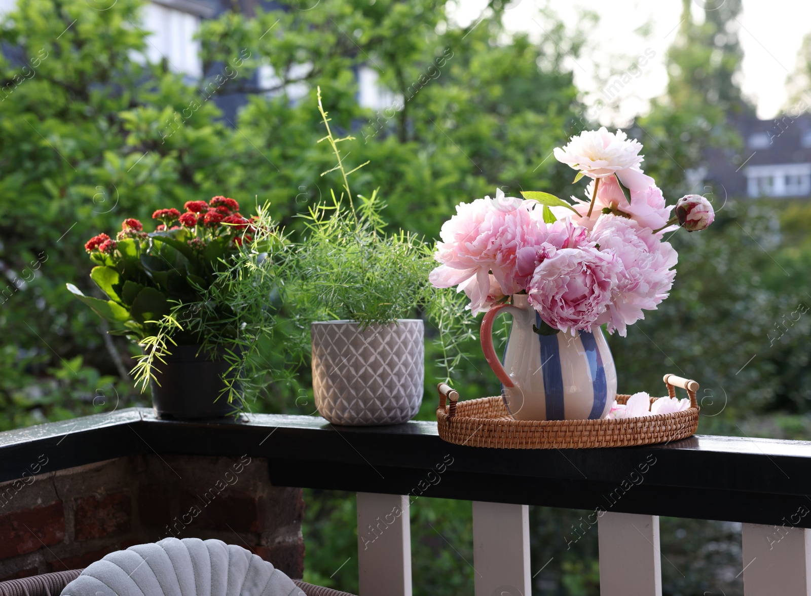 Photo of Balcony garden. Different plants growing on railings outdoors