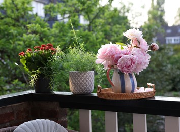 Balcony garden. Different plants growing on railings outdoors