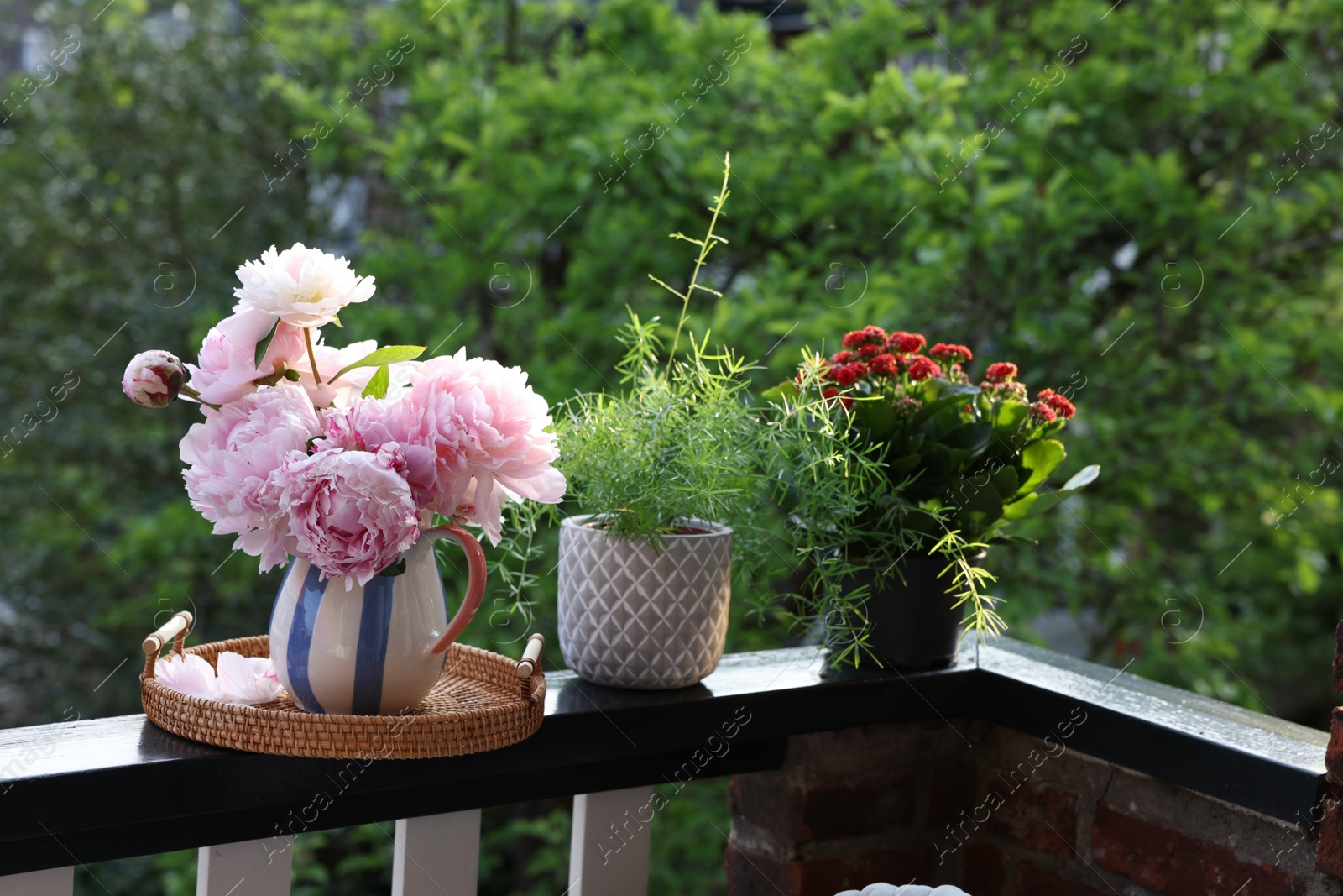 Photo of Balcony garden. Different plants growing on railings outdoors