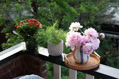 Photo of Balcony garden. Different plants growing on railings outdoors