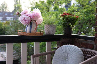 Balcony garden. Different plants growing on railings outdoors