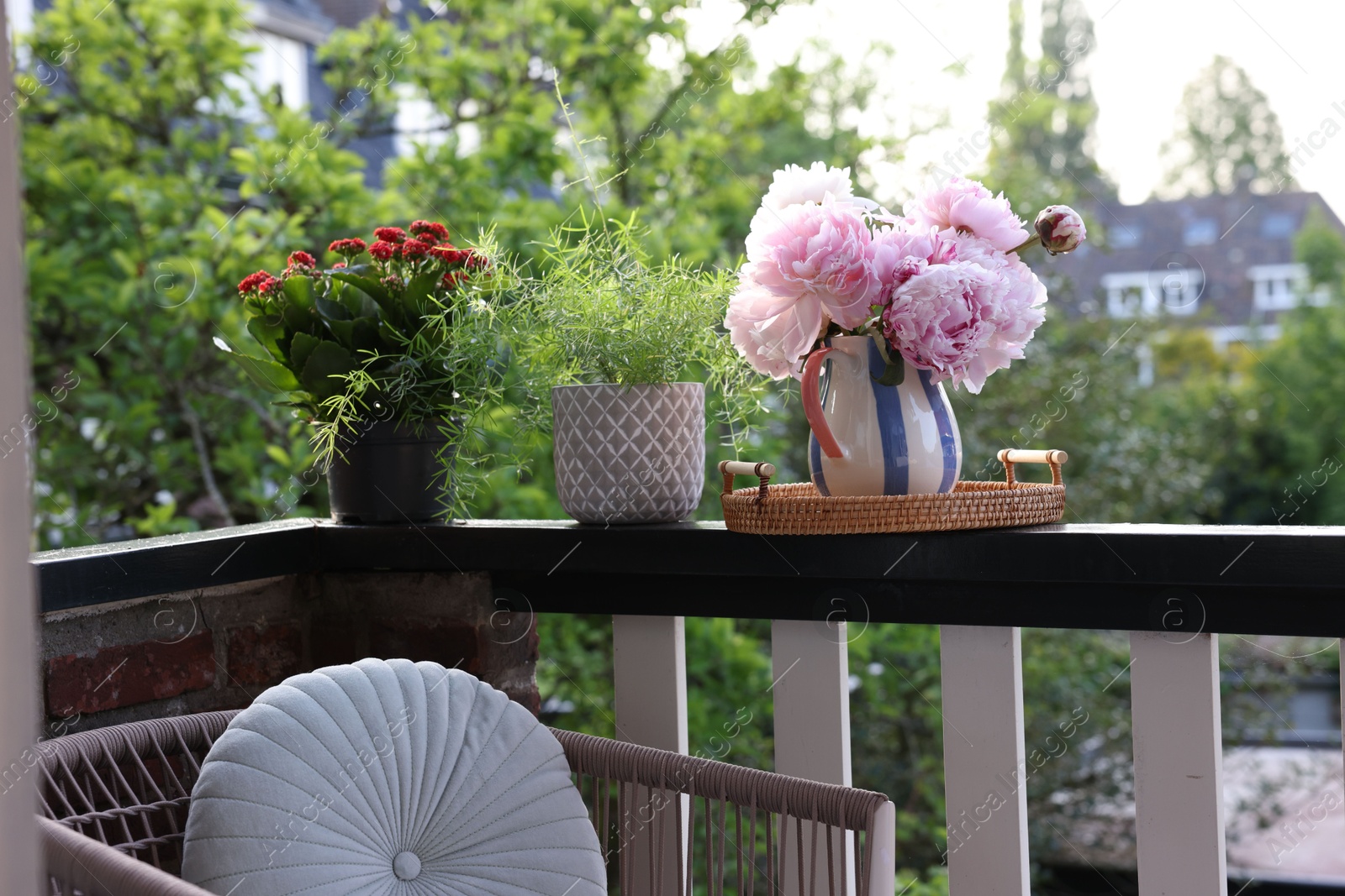 Photo of Balcony garden. Different plants growing on railings outdoors