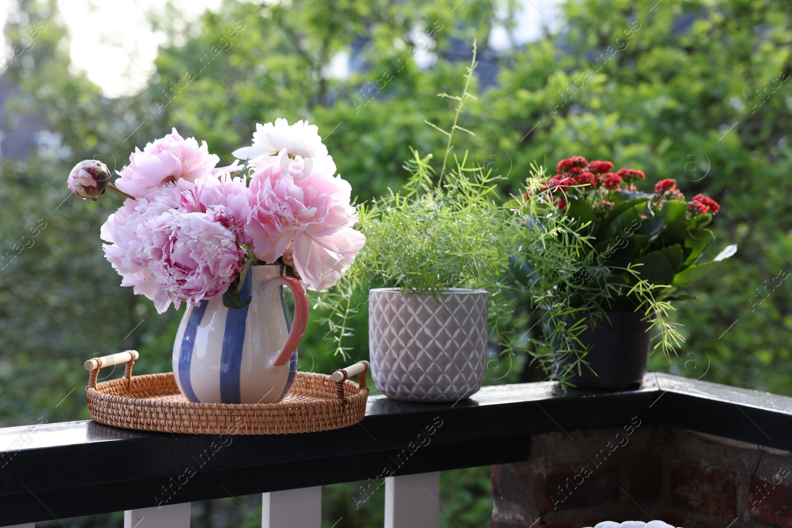 Photo of Balcony garden. Different plants growing on railings outdoors