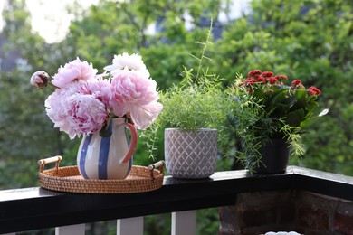 Balcony garden. Different plants growing on railings outdoors