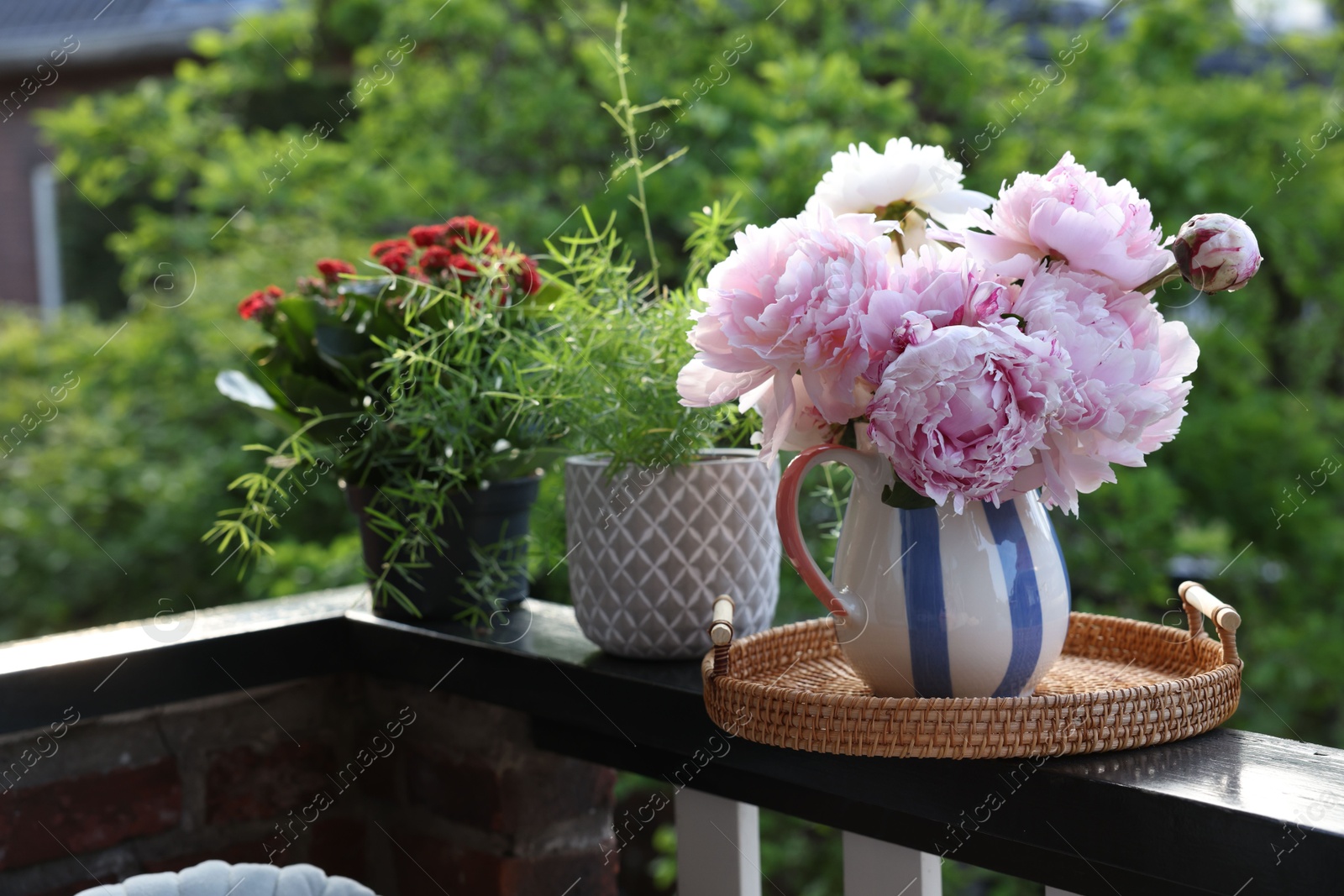 Photo of Balcony garden. Different plants growing on railings outdoors