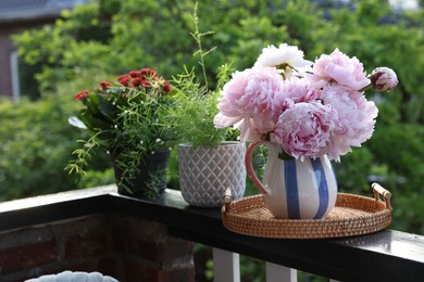 Photo of Balcony garden. Different plants growing on railings outdoors