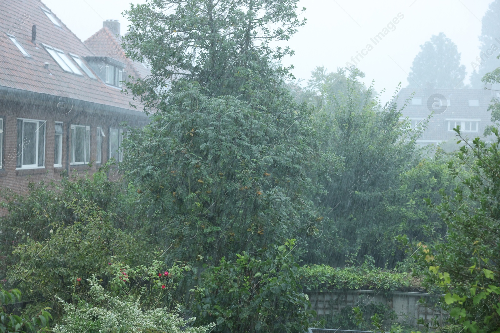 Photo of View of buildings and trees under pouring rain