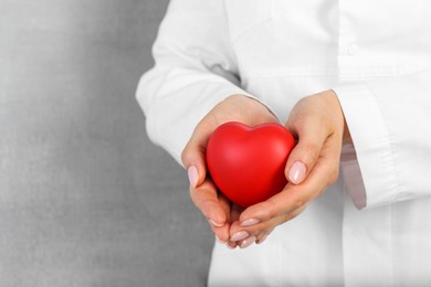 Doctor holding red heart on grey background, closeup. Space for text