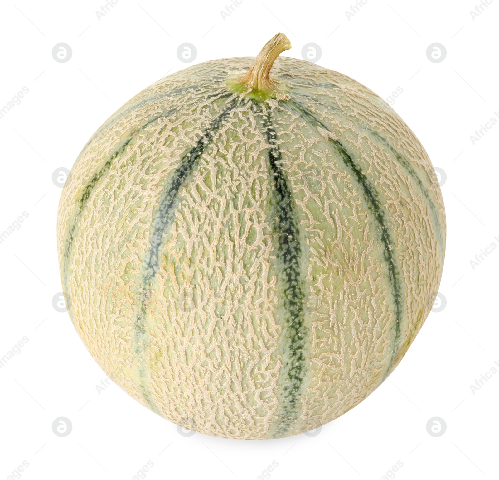 Photo of One whole Cantaloupe melon isolated on white