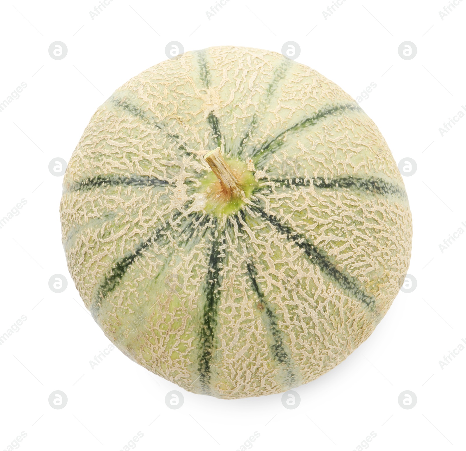 Photo of One whole Cantaloupe melon isolated on white, top view