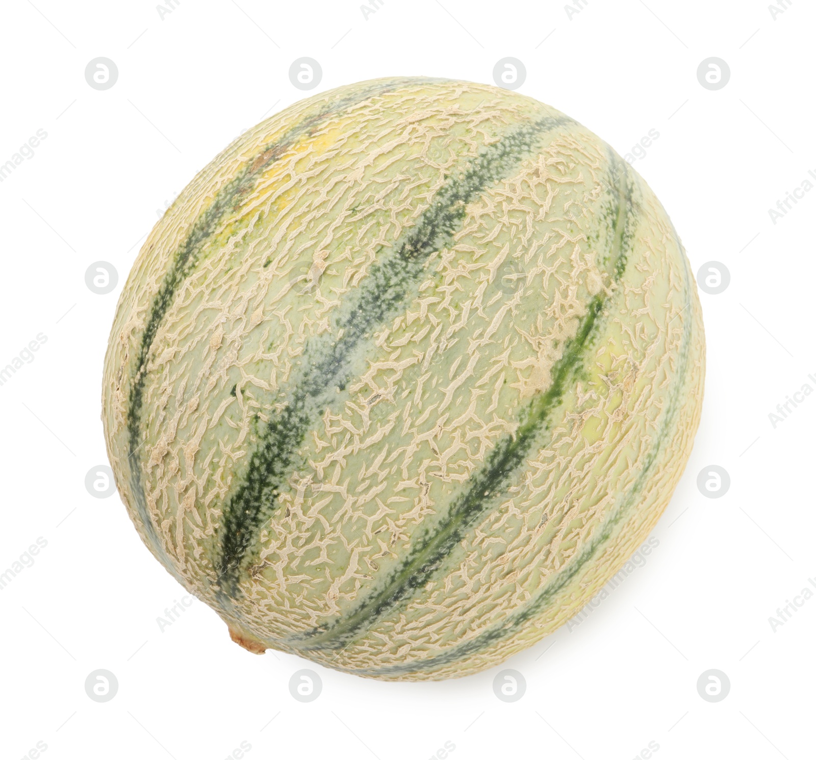 Photo of One whole Cantaloupe melon isolated on white, top view