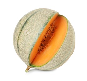 Fresh ripe Cantaloupe melon isolated on white