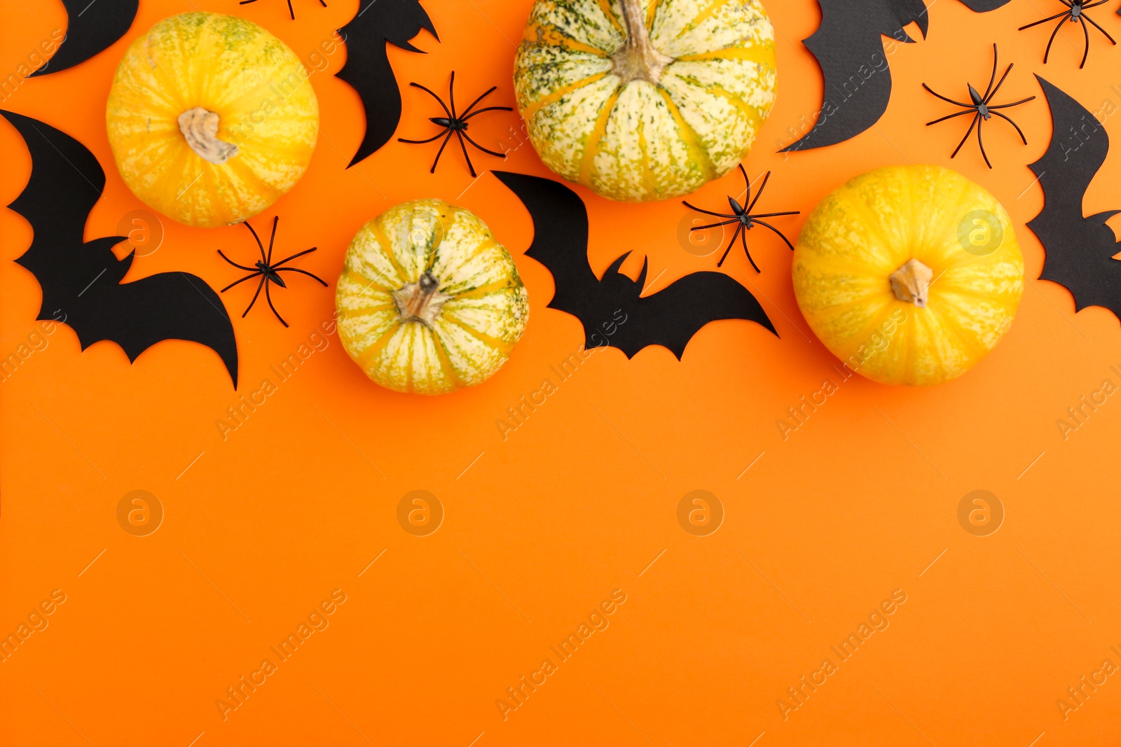 Photo of Halloween celebration. Black paper bats, spiders and pumpkins on orange background, flat lay. Space for text