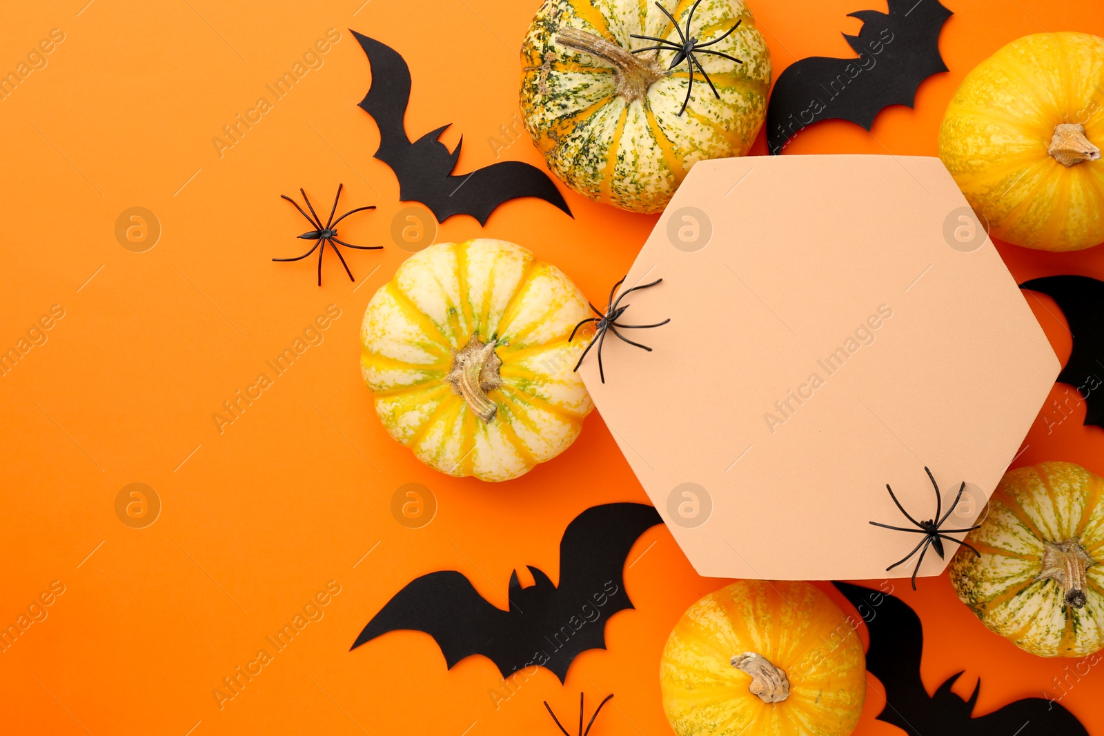 Photo of Halloween celebration. Black paper bats, spiders, pumpkins and podium on orange background, flat lay