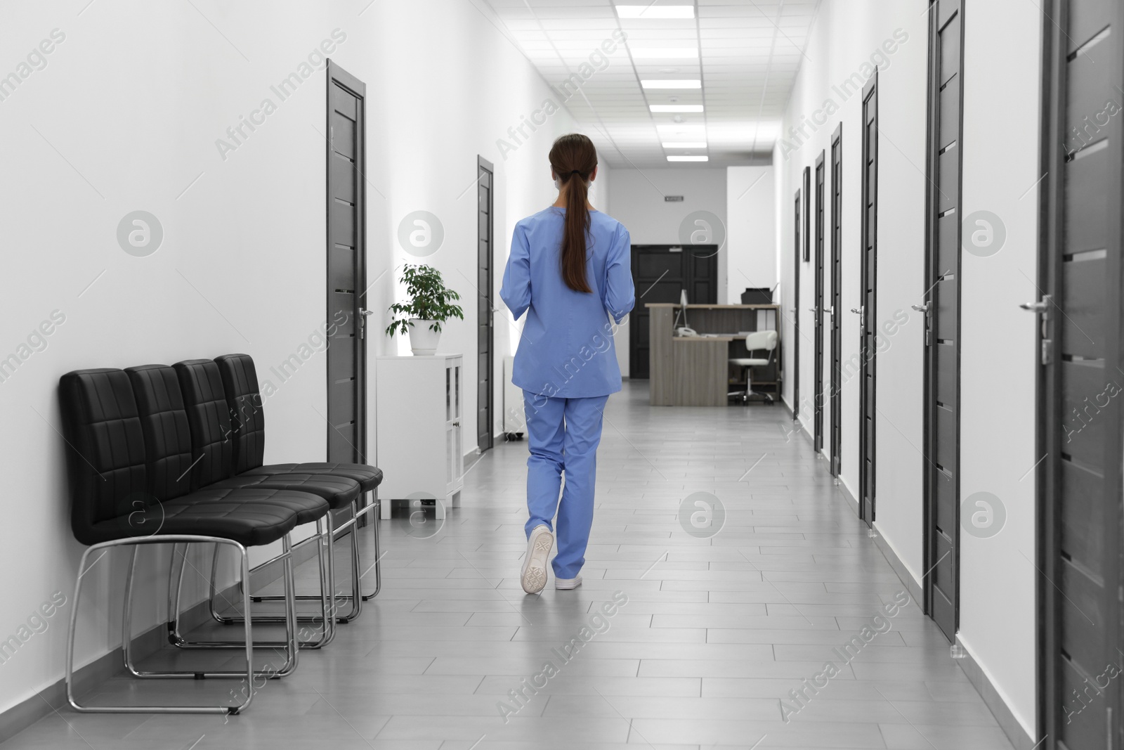 Photo of Nurse in uniform walking in hospital hallway, back view