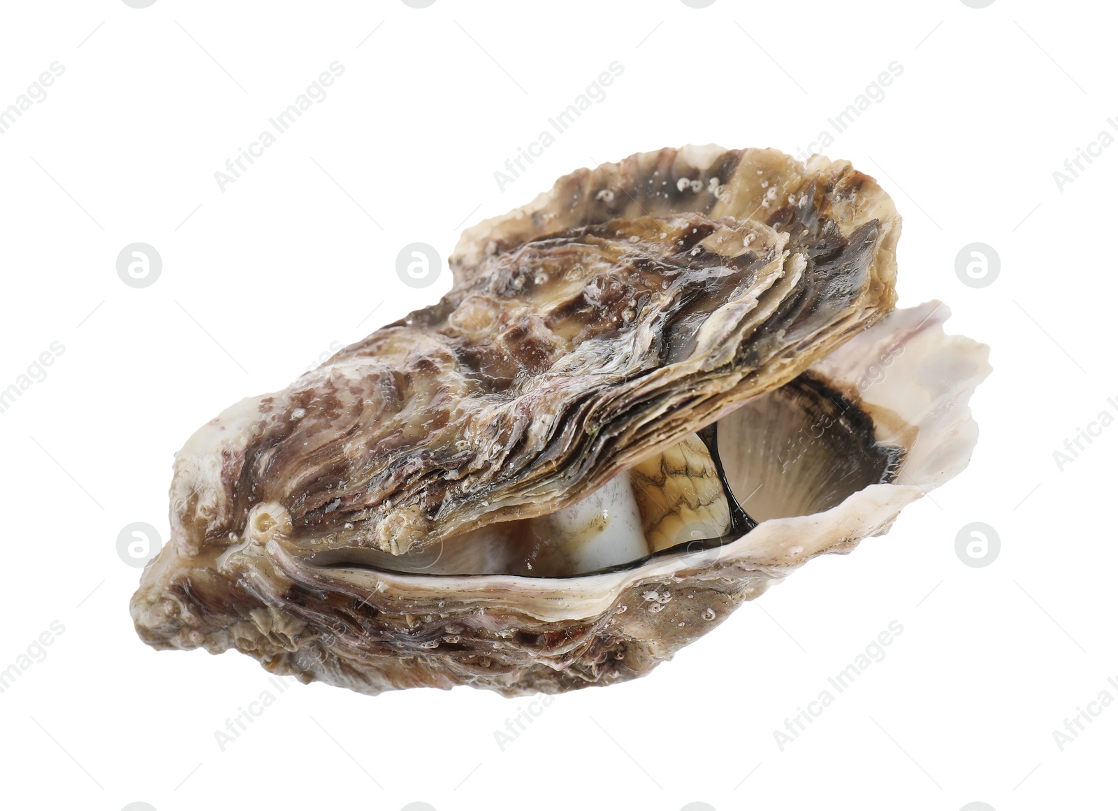 Photo of One raw oyster isolated on white. Sea food