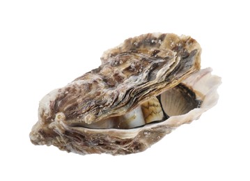 One raw oyster isolated on white. Sea food