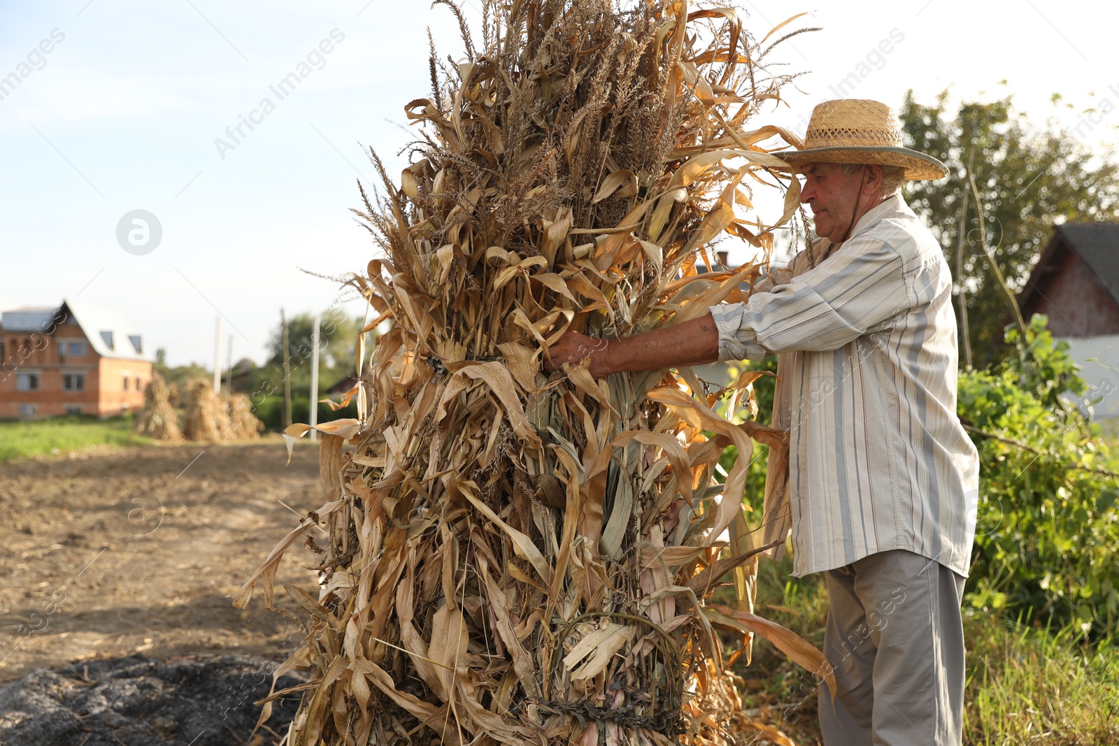 Photo of Senior man in straw hat with pile of hay outdoors